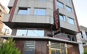 Carol Hotel